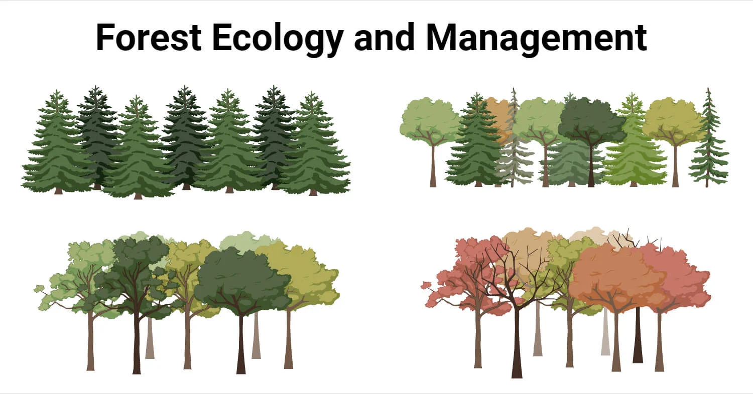 Forest Ecology and Management Protecting Our Green Lungs