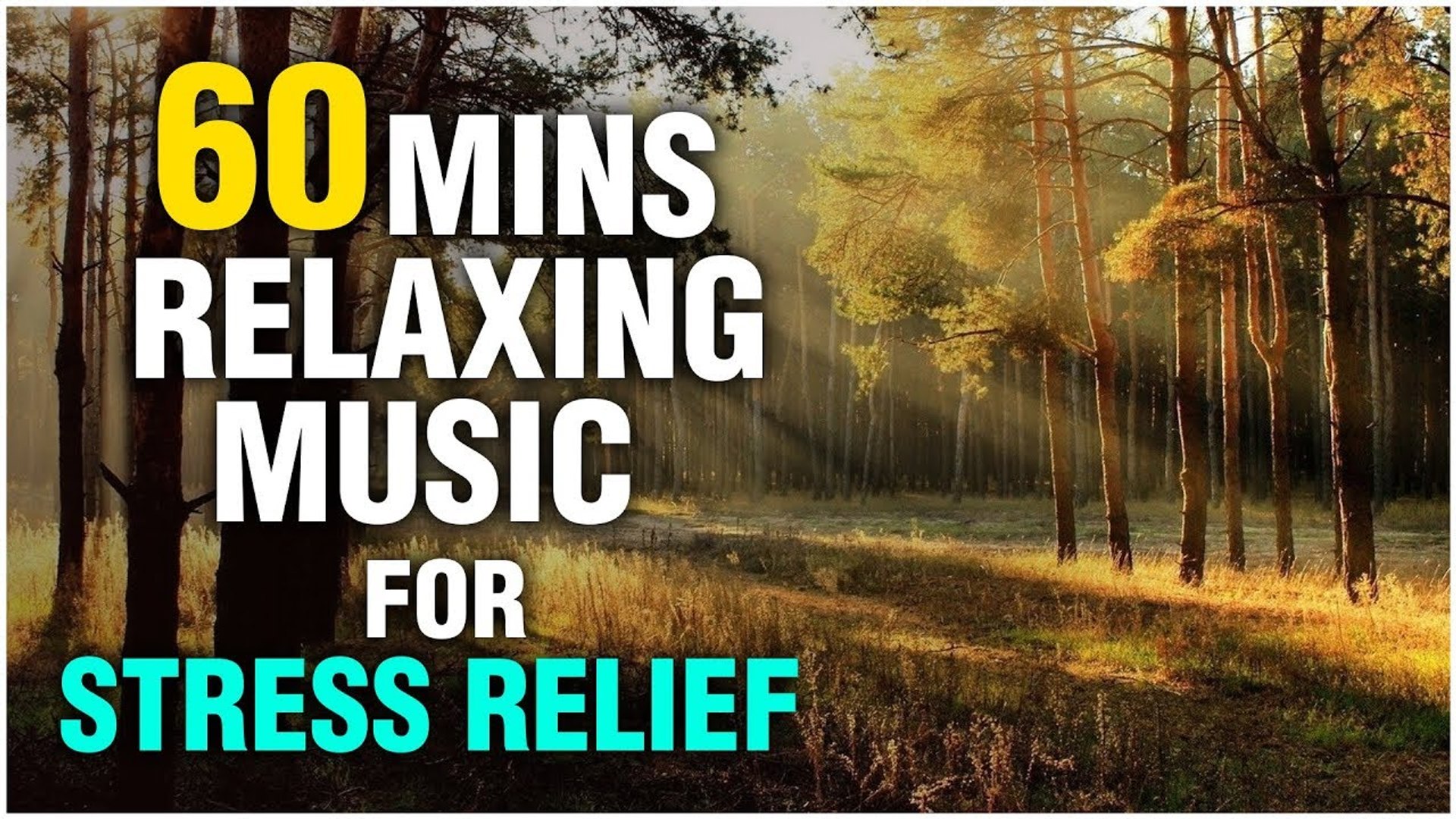 A Symphony of Calm The Best Meditation Music for Stress Relief